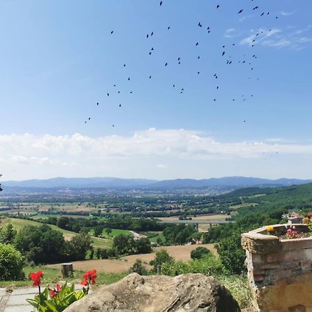 Al Podere Del Nonno Romolo Sansepolcro Exterior foto