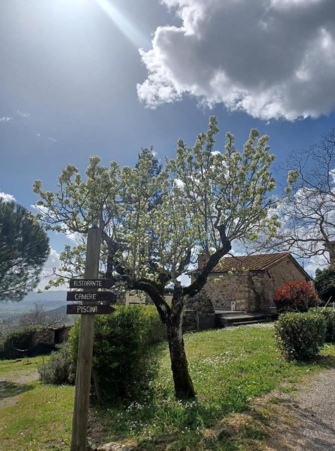 Al Podere Del Nonno Romolo Sansepolcro Exterior foto