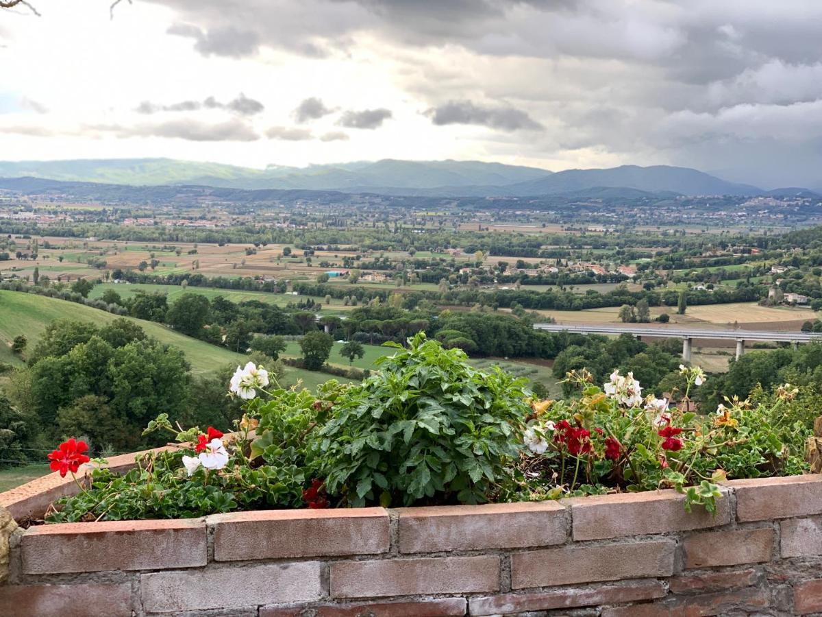 Al Podere Del Nonno Romolo Sansepolcro Exterior foto