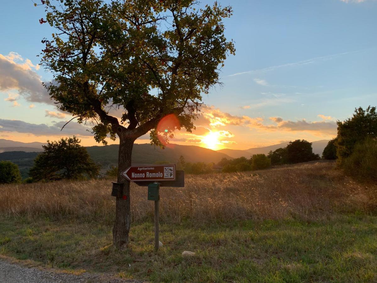 Al Podere Del Nonno Romolo Sansepolcro Exterior foto