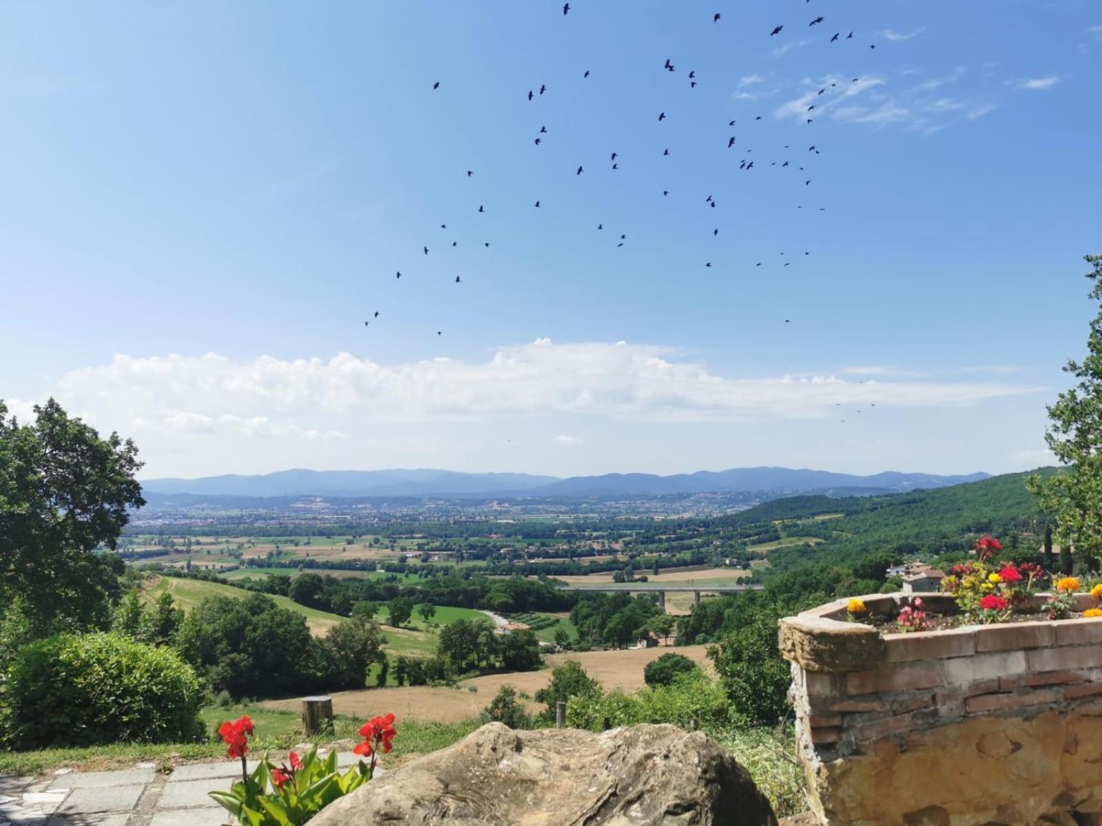 Al Podere Del Nonno Romolo Sansepolcro Exterior foto